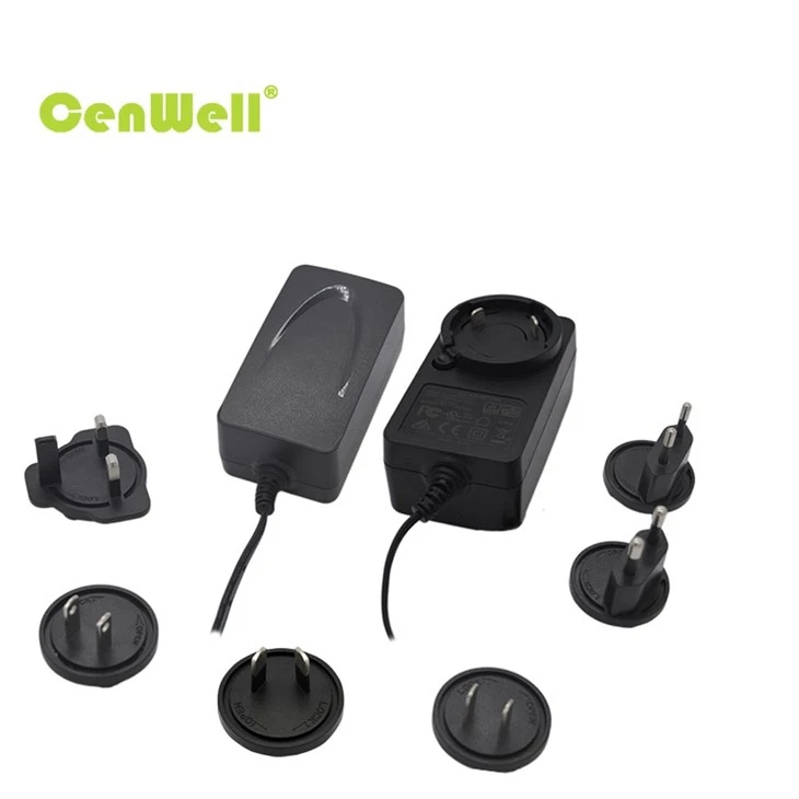 48W Interchangeable Power Adapter 001